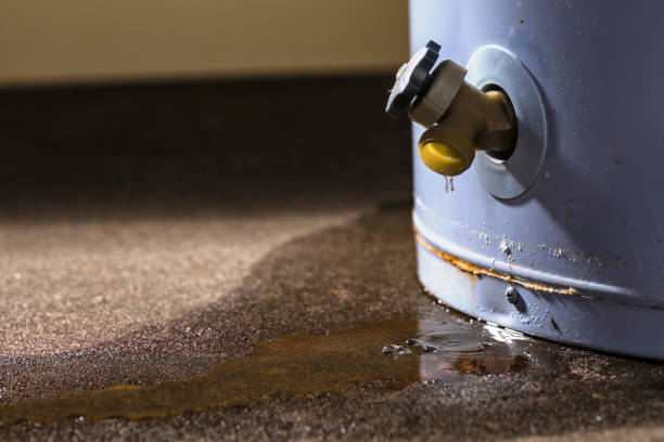 Best Flood damage cleanup  in Cary, IL