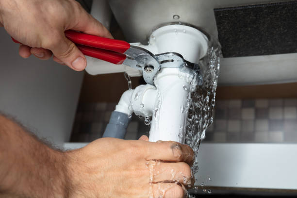 Best Water damage restoration near me  in Cary, IL