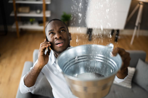 Best Water damage restoration experts  in Cary, IL