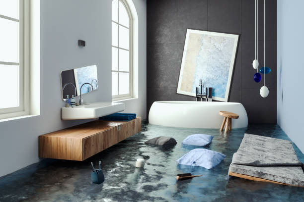 Best Emergency water damage restoration  in Cary, IL