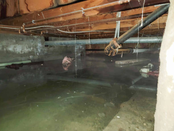 , IL Water damage restoration Company