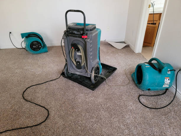 Best Basement water damage restoration  in Cary, IL