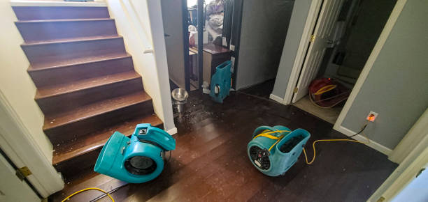 Best Mold removal after water damage  in Cary, IL