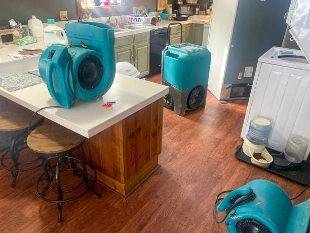 Water damage restoration experts in IL