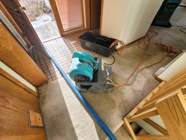 Water damage restoration process in IL