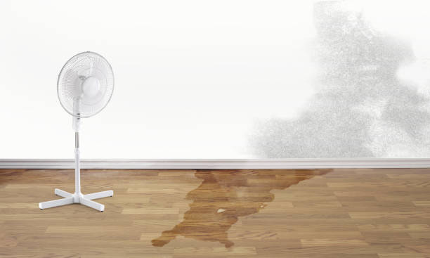 Best 24/7 water damage repair  in Cary, IL