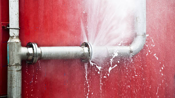 Best Professional water damage repair  in Cary, IL