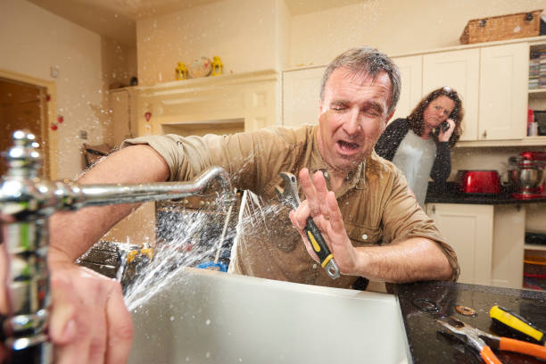 Best Flood restoration services  in Cary, IL